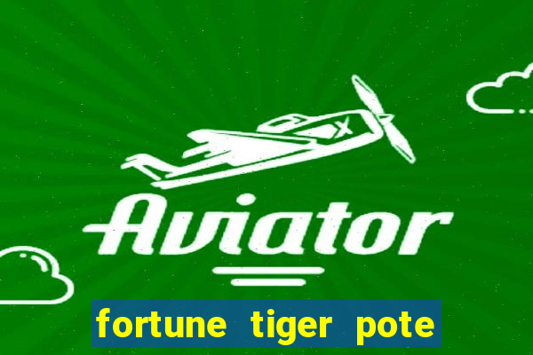 fortune tiger pote de ouro completo